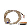 Ohaus (AdCable, ST103-CKW55 TxxXW) (80252584)