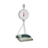 Detecto MCS-20P Scoop Scale-20-lb capacity