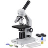 Amscope M500 Monocular Compound Microscope, Wf10X Eyepiece, 40X-1000X Brand New