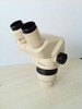 Olympus SZ30 SZ3060 stereo zoom Microscope head