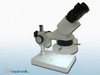 Stereo Microscope