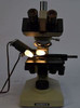 Olympus CHK2-F Binocular Laboratory Microscope No Objectives