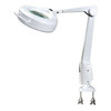 Dazor Circlne 2X Magnifier Lamp 30 Arm - Store Display