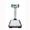 Adam Cpwplus-200P 440 Lb/200 Kg Bench Scale