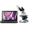 40X-2000X LED Digital Binocular Compound Microscope w 3D Stage + 2MP USB Camera