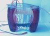 electrophoresis chamber