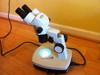 VanGuard Stereo Zoom Microscope with LED Illumination, 20X and 40X