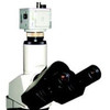 Seiler Microlux IV Trinocular Head