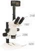 Precision Stereo Zoom Trinocular Microscope On Track Stand With Digital Adapter