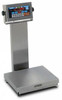 1000 LB x 0.2 Doran Digital NTEP Stainless Steel Checkweigher Scale 24x 24 NEW