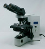 Olympus Microscope BX41 Phase Contrast