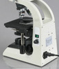 Hot sale 40X-1000X Infinity Plan Binocular Biological Microscope  , Well sold In EU , USA , Latin American