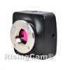 High frame rate 320fps 1.5MP USB3.0 microscope Camera With Global Shutter Sony imx273 Sensor
