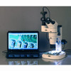 Amscope Pm240T-8M Digital Trinocular Common Main Objective Stereo Zoom Microscope, Wh10X Eyepieces, 8X-80X Magnification, 0.8X-8X Zoom Objective, Pillar Stand, 100V-240V, Includes 8Mp Camera With Reduction Lens And Software