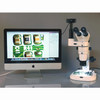 Amscope Pm240T-5Ma Digital Trinocular Common Main Objective Stereo Zoom Microscope, Wh10X Eyepieces, 8X-80X Magnification, 0.8X-8X Zoom Objective, Pillar Stand, 100V-240V, Includes 5Mp Camera With Reduction Lens And Software