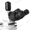 BoliOptics 40X-600X Professional Trinocular Polarizing Microscope, Halogen Lighting, Infinity Achromatic Polarizing Objectives, for Petrology Geology Laboratories Medicine Biology PL03020301