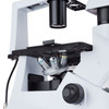 Amscope 40-400X Inverted Infinity-Corrected Phase-Contrast Biological Microscope With 30W Illumination