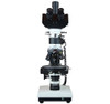 Radical Research Geology Ore Incident Light Polarizing Microscope w 16Mp USB 3.0 PC Camera
