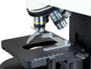 OMAX 1600X Phase Contrast Siedentopf 1.3MP Digital PLAN Microscope