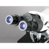 40X-1500X Professional Infinity Plan Phase Contrast Kohler Compound Microscope-1570211559