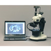 AmScope GM400TZ Trinocular Gemology Stereo Zoom Microscope, WH10x Eyepieces, 3.5X-90X Magnification, 0.7X-4.5X Zoom Objective, Halogen and Fluorescent Lighting, Inclined Pillar Stand, 110V-120V, Includes 0.5X and 2.0X Barlow Lenses