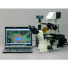 AmScope MT5000-CCD 5.0MP CCD Microscope Camera for Fluorescence Microscopy