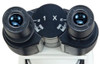 OMAX 40X-1600X Phase Contrast Siedentopf Compound Microscope+USB Cam