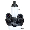 OMAX 40X-3000X Infinity PLAN Darkfield Siedentopf LED Kohler Compound Microscope Quintuple Nosepiece