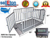 Selleton Ntep 60" X 36" X 42" Cattle/Livestock/Animal Cage Scale System at 5000 Lb X 1 Lb