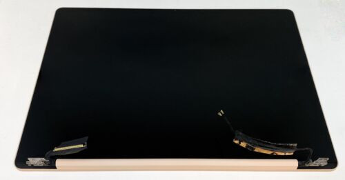 LCD Bildschirm Für Microsoft Surface Laptop Go 1943 - 12,5 Zoll Display Mit Digitalisierer