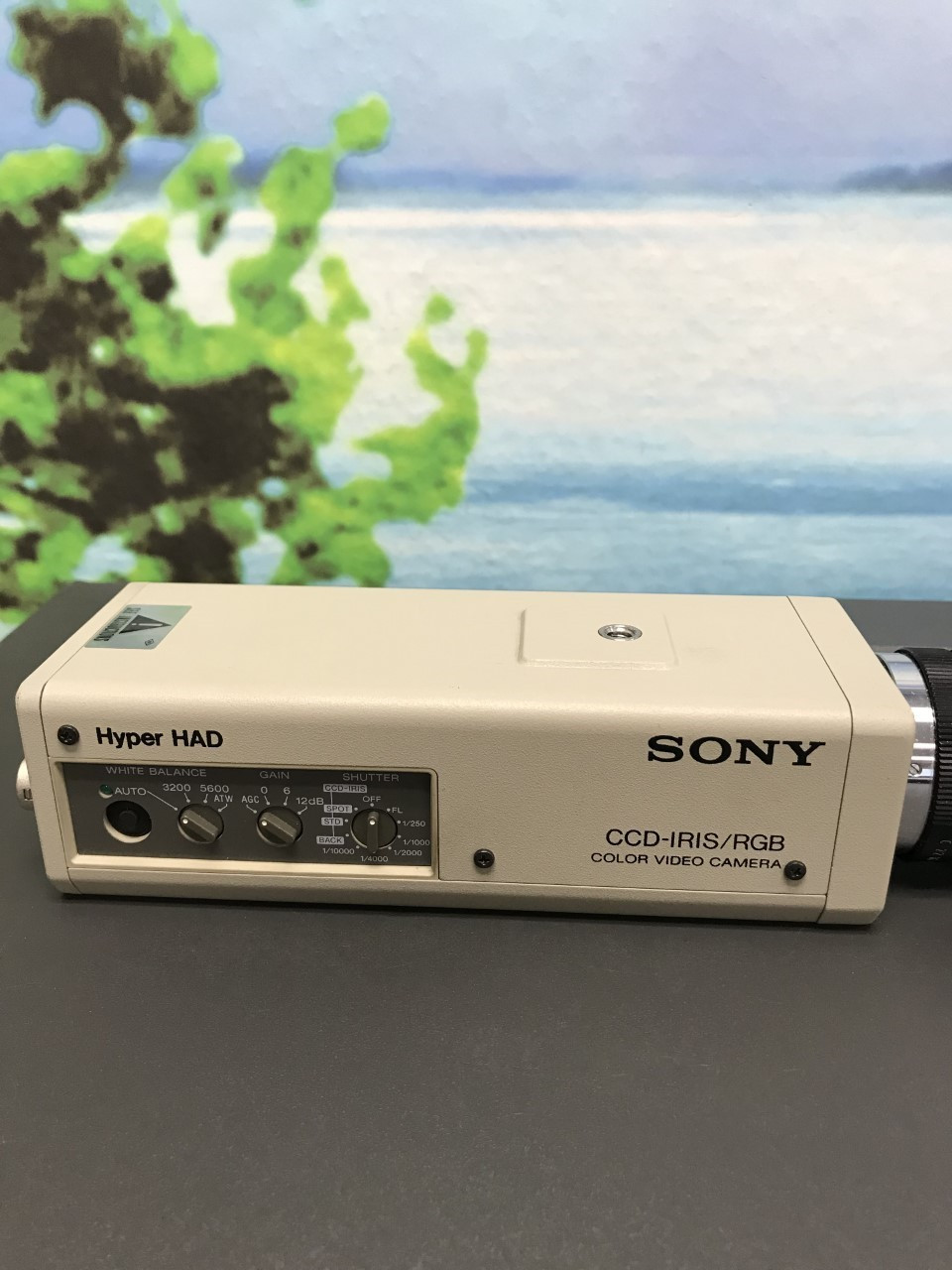 Buy -SONY DXC-151A CCD-IRIS/RGB COLR VIDEO CAMERA & CMA-D2 CAMERA