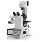 Leica DMi8 Automated Inverted Phase Contrast Fluorescence Microscope w/ Eppendorf Micrinjectors