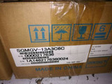 Yaskawa Servo Motor Sgmgv-13A3C6C New