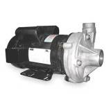 Dayton 2Zxl5 Stainless Steel 3 Hp Centrifugal Pump 230V