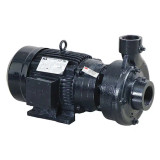 Dayton 55Jj43 Centrifugal Pump, 3 Ph, 230/460Vac