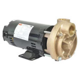 Dayton 53Ea97 Turbine Pump, 3/4 Hp, 208-230 To 460V