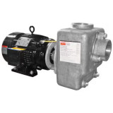 Dayton 12N811 Centrifugal Pump, 3 Hp, 208 To 230/460V Ac, 3 Phase, 65 Ft Max