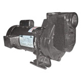 DAYTON 2ZXP1 Self Priming Pump,3/4 HP,Cast Iron 2ZXP1