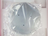 Asm 1018-959-01 Plate Susceptor Thermal Coupler 300mm