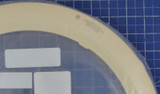 Applied Materials 0200-06870 Ring Deposition Pvd W V2 Cleancoat