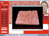 Skin Lens and Software for Skin Analyzer Skin Scope Skin Lens and Software for Skin Analyzer Skin Scope