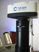 0.66x Zeiss Microscope Trinocular adapter to phototube 30mm & C-Mount Efocus