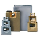 25 Lb Rice Lake Avoirdupois Class F Casr Iron Grip Handle Test Weight New !!!