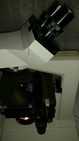 Bristoline Binocular Microscope