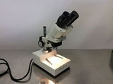 Fisher Scientific Stereo Microscope S90011A