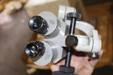 Microscope Head 10X #71565 Leitz Wild