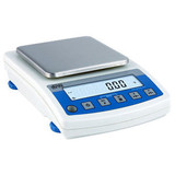 600 G x 0.01 Radwag WTC 600 Digital Labortory Jewelry Checkweighing Balance