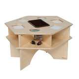 Wood Designs Deluxe Activity Science Table