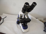 UNICO G380 Series Microscope - Dual 10x Eyepiece - 4x 10x 40x 100x Magnification