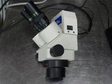 Fisher Scientific stereomaster Stereo video  Microscope